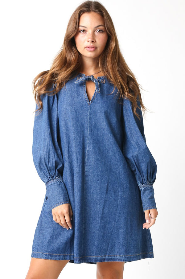 Miranda Denim Dress - Blue