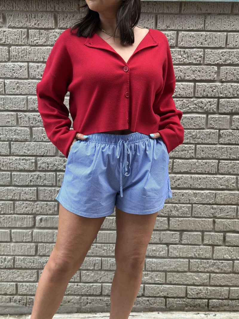 Beachside Shorts - Blue Check