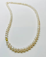 Theodosia Jewelry: Freshwater Pearl Choker