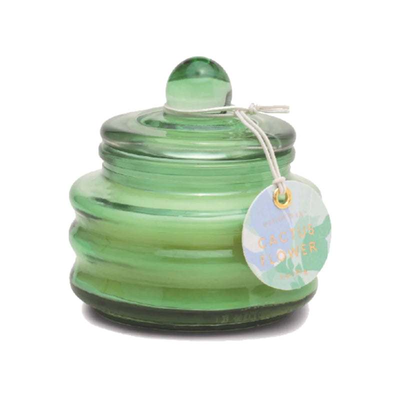 Paddywax Beam 3 oz Glass Candle Cactus Flower