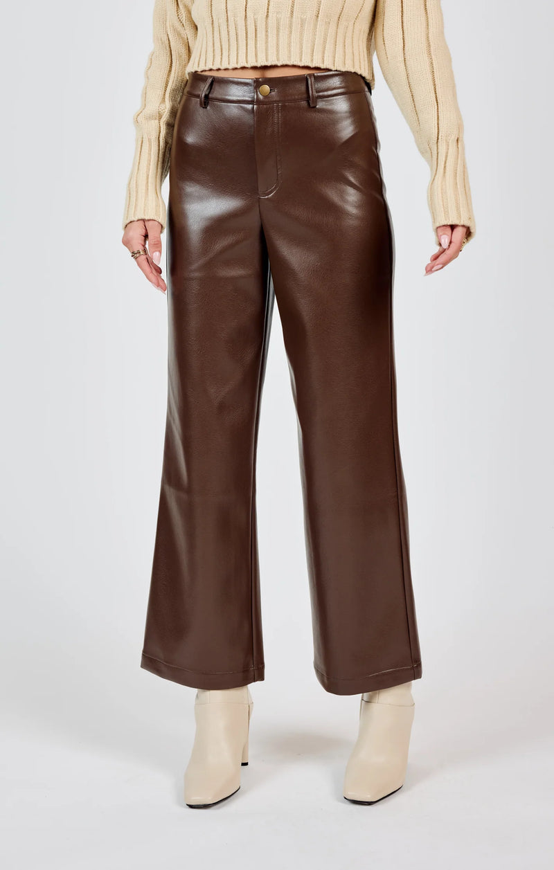 Night Vision Faux Leather Pants - Brown